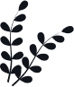leap 4.png